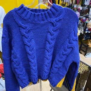Blue Sweater